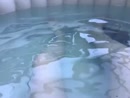 Jacuzzi, film 00:00:20, 4 reacties, 15 stemmen