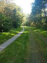 Johans, foto 3000x4000, 5 reacties, 6 stemmen
