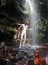 Jungle Brazilie, foto 960x1280, 3 reacties, 3 stemmen