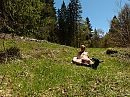 Jura-wandeling, foto 800x600, 1 reacties, 4 stemmen