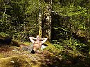 Jura-wandeling, foto 800x600, 1 reacties, 5 stemmen