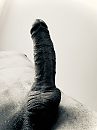 Just a pick of my dick., foto 2316x3088, 2 reacties, 8 stemmen