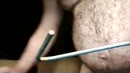 Kapitein ..., film 00:00:00, 1 reacties, 4 stemmen