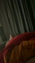 Kn niet wachten, film 00:00:17, 2 reacties, 8 stemmen