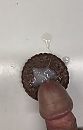 Koekjes, foto 692x1071, 4 reacties, 8 stemmen