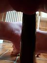 Komkommer, foto 3000x4000, 3 reacties, 28 stemmen