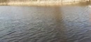 Koud water is ook nat., film 00:00:00, 7 reacties, 17 stemmen