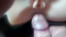 Kunstkutje, film 00:00:26, 15 reacties, 24 stemmen