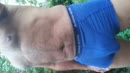 Kutweer, film 00:00:00, 3 reacties, 7 stemmen