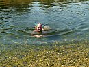 La loue (F), foto 800x600, 1 reacties, 7 stemmen