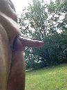 Laakse, foto 480x640, 3 reacties, 11 stemmen