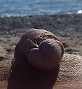 Laatste dag strand helaas.!!, foto 2017x2191, 3 reacties, 17 stemmen