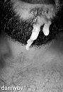 Lastig mikken....., foto 1894x2749, 0 reacties, 7 stemmen