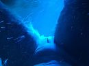 Late night jaccuzi, foto 720x540, 38 reacties, 159 stemmen