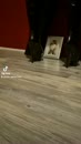 Latex, film 00:00:26, 4 reacties, 44 stemmen