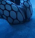 Legs up, foto 1008x1080, 15 reacties, 104 stemmen