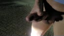 Lekker buiten met mijn pik, film 00:00:28, 6 reacties, 18 stemmen