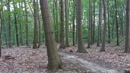 Lekker in het Bos, film 00:00:12, 8 reacties, 30 stemmen