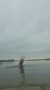 Lekker in water geweest, film 00:00:11, 3 reacties, 14 stemmen