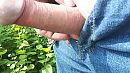 Lekker Cock flashen, foto 3264x1836, 0 reacties, 5 stemmen