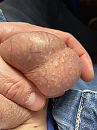 Lekker ballen, foto 3000x4000, 1 reacties, 4 stemmen
