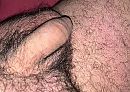 Lekker behaard, of liever kaal, foto 573x410, 3 reacties, 7 stemmen