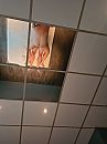 Lekker geneukt in een sexhotel, foto 720x960, 1 reacties, 3 stemmen