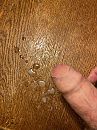 Lekker gespoten, foto 3000x4000, 1 reacties, 8 stemmen