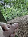 Lekker in het bos, foto 2316x3088, 8 reacties, 12 stemmen