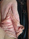 Lekker kut open, foto 3000x4000, 78 reacties, 155 stemmen