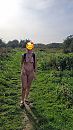Lekker wandelen op de IG, foto 2250x4000, 80 reacties, 327 stemmen
