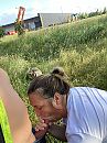 Lekker worden gepijpt in, foto 2316x3088, 28 reacties, 251 stemmen
