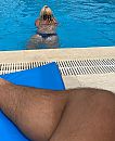 Lekker zwemmen…., foto 760x924, 1 reacties, 27 stemmen