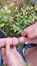 Lekker, foto 2252x4000, 17 reacties, 46 stemmen