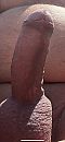 Lekker, foto 1284x2778, 5 reacties, 19 stemmen
