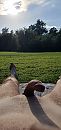 Lekker, foto 1892x4000, 9 reacties, 30 stemmen