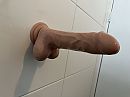 Lekker, foto 4000x3000, 13 reacties, 28 stemmen