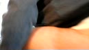 Lekkere ..., film 00:00:00, 0 reacties, 3 stemmen