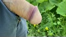 Leuter uit gulp laten en ..., film 00:00:00, 6 reacties, 16 stemmen