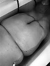 Liefhebbers?, foto 2340x3049, 13 reacties, 19 stemmen