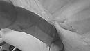 Lik me :P, foto 800x457, 0 reacties, 0 stemmen