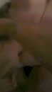 Lindy geneukt door twee, film 00:00:04, 9 reacties, 39 stemmen