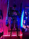 Locked in the cage, foto 1536x2048, 2 reacties, 12 stemmen