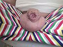 Losjes naast de broek, foto 3264x2448, 3 reacties, 13 stemmen