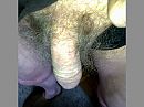 Lost a bet, foto 2592x1944, 2 reacties, 4 stemmen