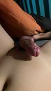 Lovense daimo, foto 720x1280, 2 reacties, 19 stemmen