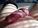 Mein Schwanz 2, foto 2592x1944, 0 reacties, 1 stemmen