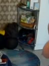 Meine hängenden Euter, film 00:00:10, 8 reacties, 38 stemmen