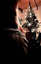 Merry Christmas.., foto 2532x3924, 3 reacties, 4 stemmen
