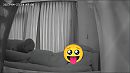 Met de neus in de ......, foto 3840x2160, 1 reacties, 0 stemmen
